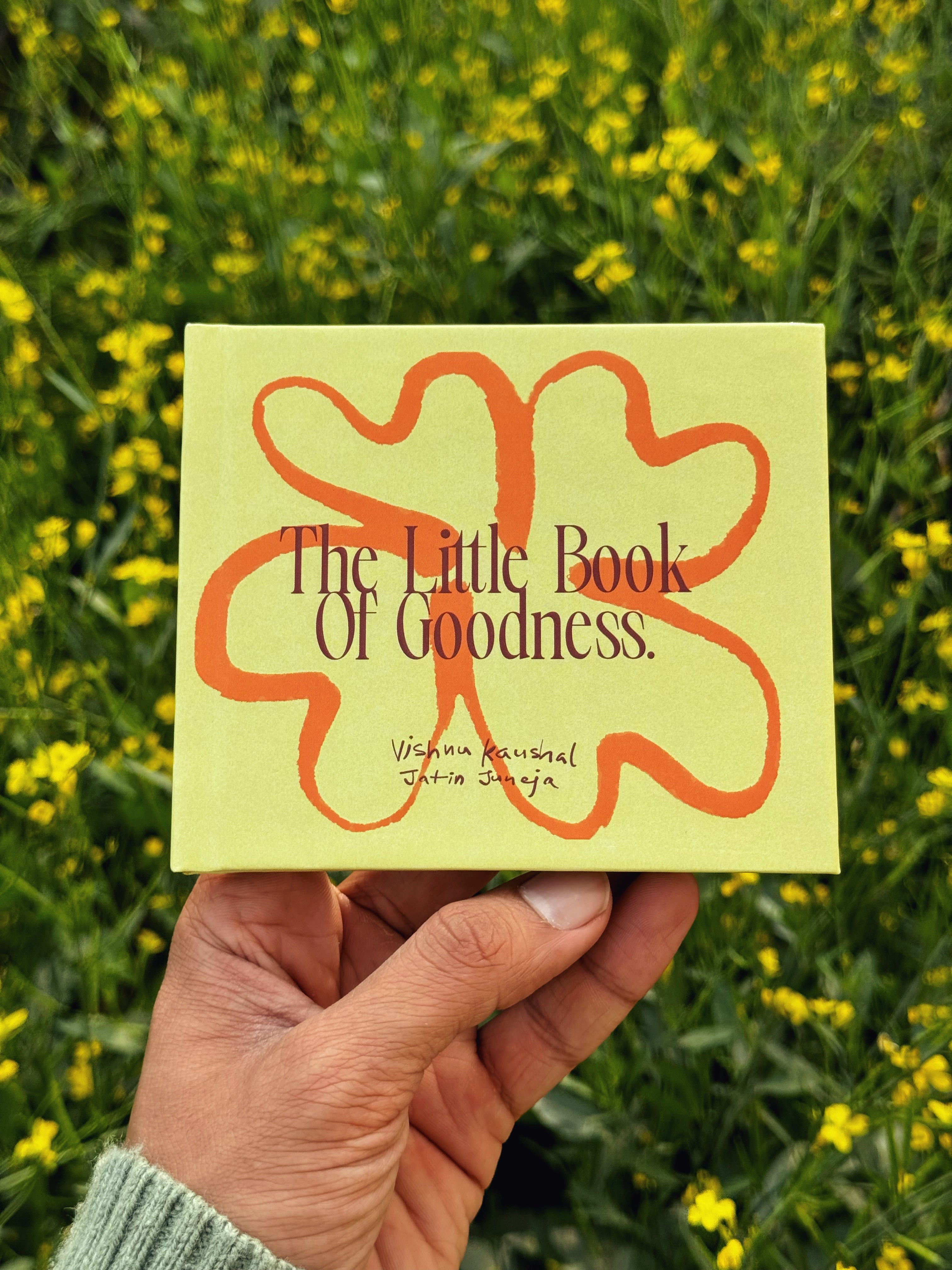The Little Book of Goodness - Affirmations Book